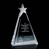 Custom Eglinton Optical Crystal Award (6 1/4