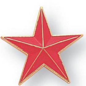 Blank Gold Enameled Pin (Red Star), 7/8" W