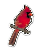 Custom 3.1-5 Sq. In. (B) Magnet - Cardinal Bird, 30mm Thick