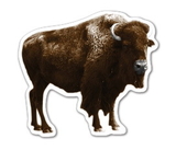 Custom Buffalo Magnet (7.1-9 Sq. In. & 30mm Thick)