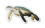 Custom 3.1-5 Sq. In. (B) Magnet - Sea Turtle (4.71 Sq. In.), 30mm Thick