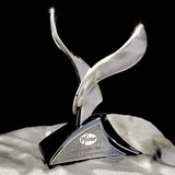 Custom Satin Silver Intrepid Award, 8 1/4