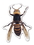 Custom Bumble Bee Magnet - 5.1-7 Sq. In. (30MM Thick), Price/piece