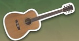 Custom 20mil Full Color Acoustic Guitar Magnet (3.1-5 Sq. In.)
