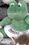 Custom GB Brite Plush Beanie Stuffed Green Frog, Price/piece