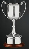 Custom Swatkins British Made Tulip Cup Award w/ Round Wood Base (9