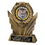 Custom Resin Trophy w/2" Medallion & Engraving Plate (5"), Price/piece