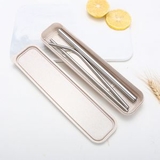 Custom Stainless Steel Straw with Brush Kit With Carry Case, 8.5