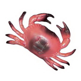 Custom Plastic Crab, 8
