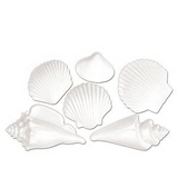 Custom White Plastic Seashells
