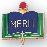 Blank Enamel Academic Award Pin (Merit), 13/16