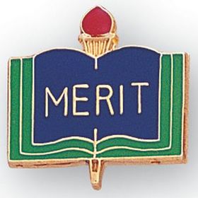 Blank Enamel Academic Award Pin (Merit), 13/16" W
