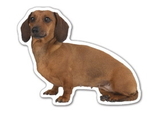 Custom Dog 6 Magnet (7.1-9 Sq. In. & 30mm Thick)