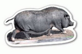 Custom Pig Magnet (2.34 Sq.In.), 15mm Thick