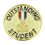 Blank Scholastic Award Pin (Gold Outstanding Student), 3/4" Diameter, Price/piece