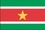 Custom Nylon Surinam Indoor/ Outdoor Flag (4'x6'), Price/piece