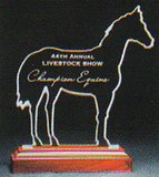 Custom 386-AP0HORSE6RBZ  - Racetrack Choice Horse Award-Clear Acrylic