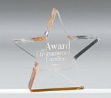 Custom Exclusive Gold Star Award, 6