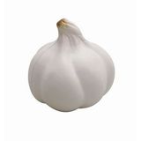 Custom Stress Garlic, 2.72