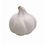 Custom Stress Garlic, 2.72" W x 2.72" L x 2.87" H, Price/piece