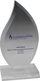 Flame Acrylic Award w/ Rectangular Base (5