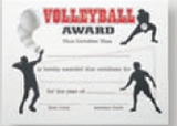 Custom Stock Certificate (Volleyball)