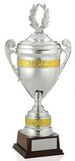 Custom Championship Cup Award (19 7/8