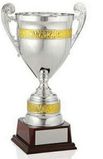 Custom Championship Cup Award (21 5/6