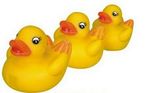 Blank Rubber Duck 3 Piece Family Toy
