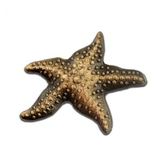 Blank Animal - Starfish 3D Lapel Pin, 1