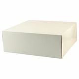 Blank White Gloss Gift Box (12