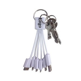 Custom 5 In 1 USB Keychain Cable, 6" L x 0.5" W