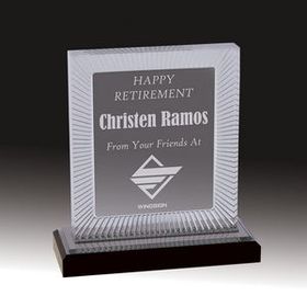 Custom Silver Carved Rectangle Impress Acrylic Award (6 3/4")