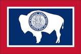 Custom Endura Poly Mounted Wyoming State Flag (12