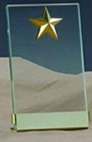 Custom Gold Star Clear Glass Plaque with Base (4"x6.5")
