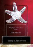 Custom Glass Star Fish Award (9"x14")