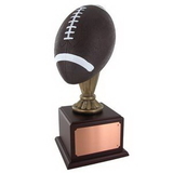 Custom Painted Resin Football Trophy (17