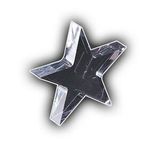 Custom Paperweight Star (4