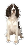 Custom Dog #5 Magnet (7.1-9 Sq. In. & 30mm Thick)