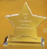 Custom Large Star Award, 7 1/2