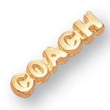 Blank Coach Chenille Letter Pin