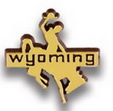 Custom Wyoming Bronco Stock State Design Plastic Lapel Pin