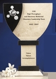 Custom Genuine Marble Victory Award (7