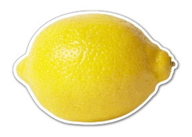 Custom Lemon Magnet (7.1-9 Sq. In. & 30mm Thick)