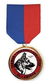 Custom Express Medallion with 1" Mylar Insert (1 1/8")