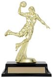 Custom All Star Male Trophy Award, 6