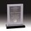 Custom Silver Carved Rectangle Impress Acrylic Award (7 3/4"), Price/piece