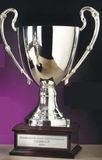 Custom Large Silver Plated Aluminum Champions Cup Award, 10
