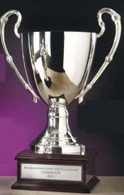 Custom Large Silver Plated Aluminum Champions Cup Award, 10" H