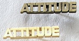 Custom Series 3000S Attitude MasterCast Design Cast Lapel Pin